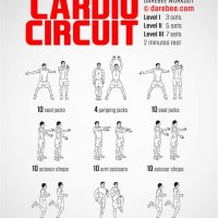 Circuit Training Cardio Exercises