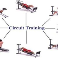 Circuit Training Fitness Definition